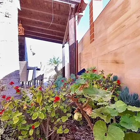 La Casa De Las Dunas, By Comfortable Luxury Willa *